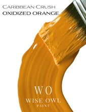 Load image into Gallery viewer, One Hour Enamel Paint GALLONS
