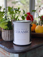 Load image into Gallery viewer, One Hour Ceramic Luxury Wall Paint, Gallons