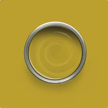 Load image into Gallery viewer, Chalk Synthesis Paint, Gallons