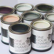 Load image into Gallery viewer, One Hour Enamel Paint, Gallons