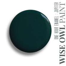 Load image into Gallery viewer, One Hour Enamel Paint GALLONS