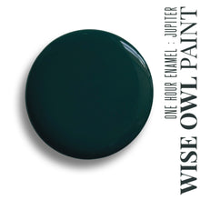 Load image into Gallery viewer, One Hour Enamel Paint QUARTS