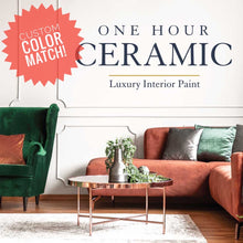 Load image into Gallery viewer, One Hour Ceramic Paint Luxury Wall Paint