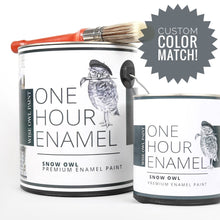 Load image into Gallery viewer, One Hour Enamel Paint GALLONS