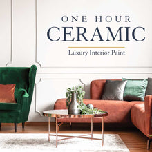 Load image into Gallery viewer, One Hour Ceramic Paint Luxury Wall Paint