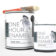 Load image into Gallery viewer, One Hour Enamel Paint GALLONS