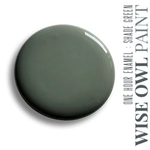 Load image into Gallery viewer, One Hour Enamel Paint GALLONS